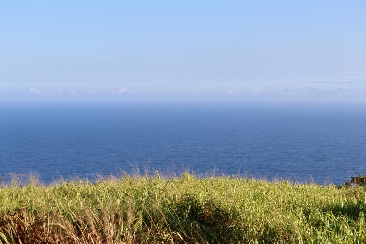 ไวปีโอ ลอดจ์ Hotel Kukuihaele ภายนอก รูปภาพ